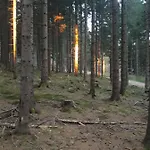 Alte Post, 아파트 바이스브리아흐