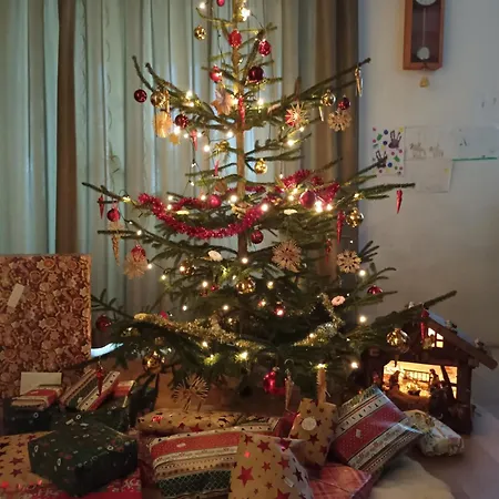 Alte Post, Apartmán Weissbriach