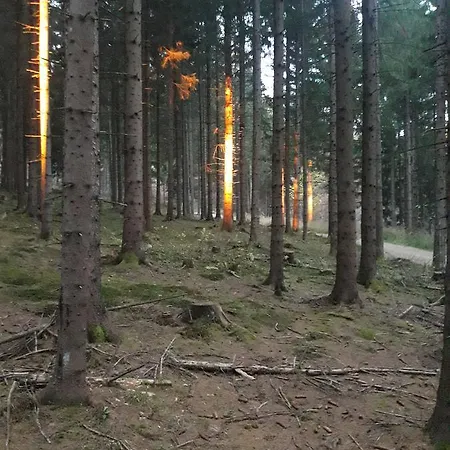 Alte Post, Apartament Weissbriach